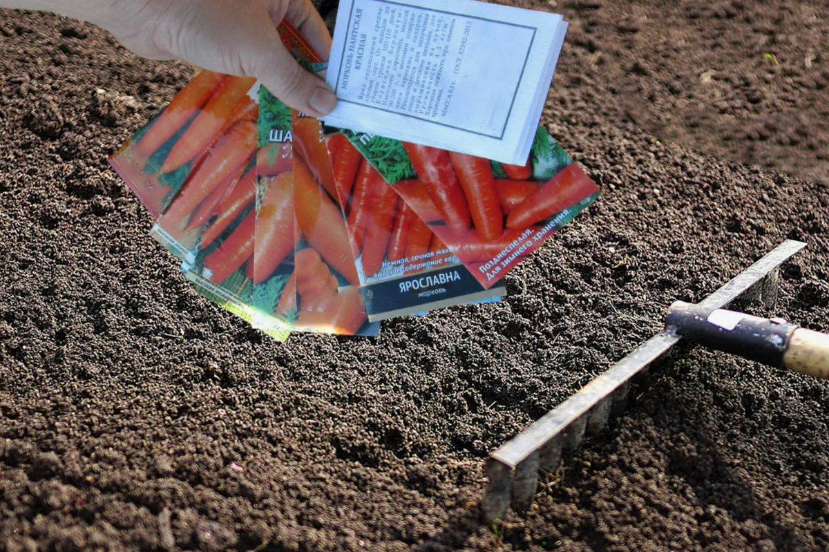 Источник фото: profile.ru