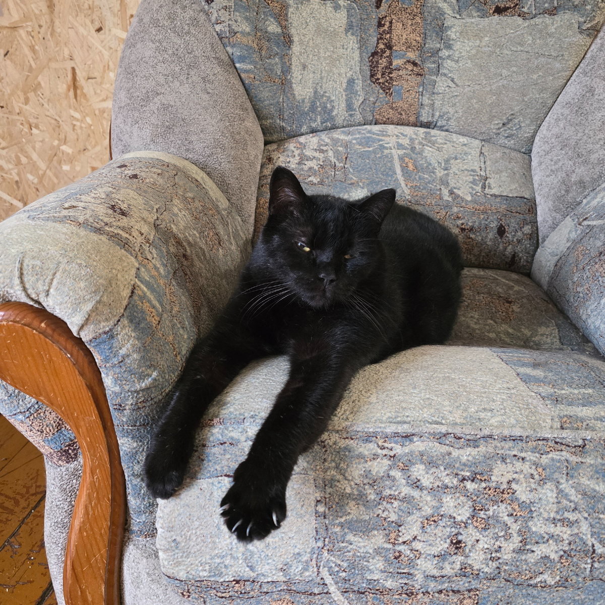 Панкрат - заместитель директора Тамерлана