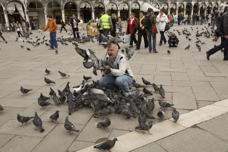    Фото: Igor Kritskiy/Globallookpress