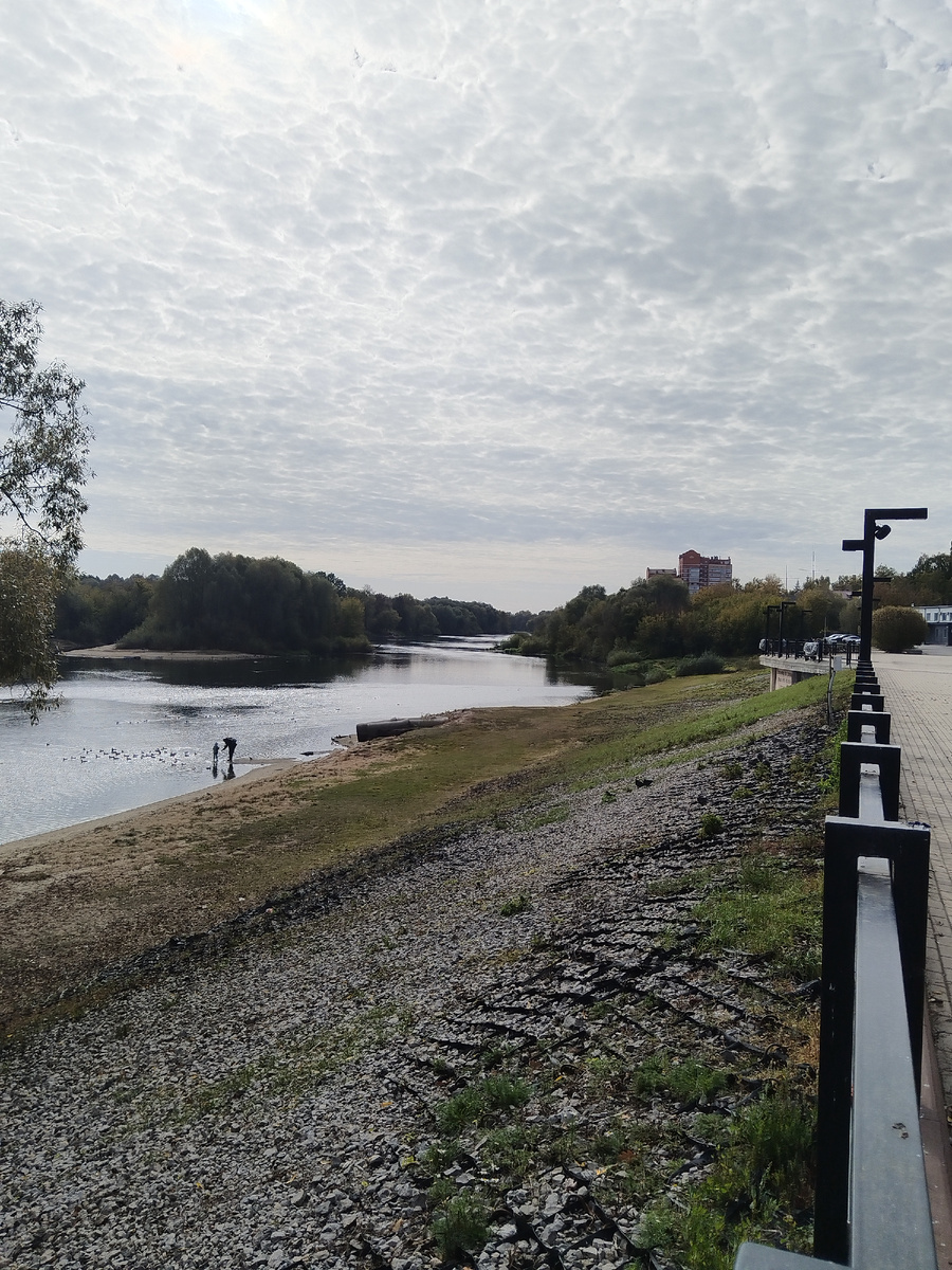 Кто-то кормит уток