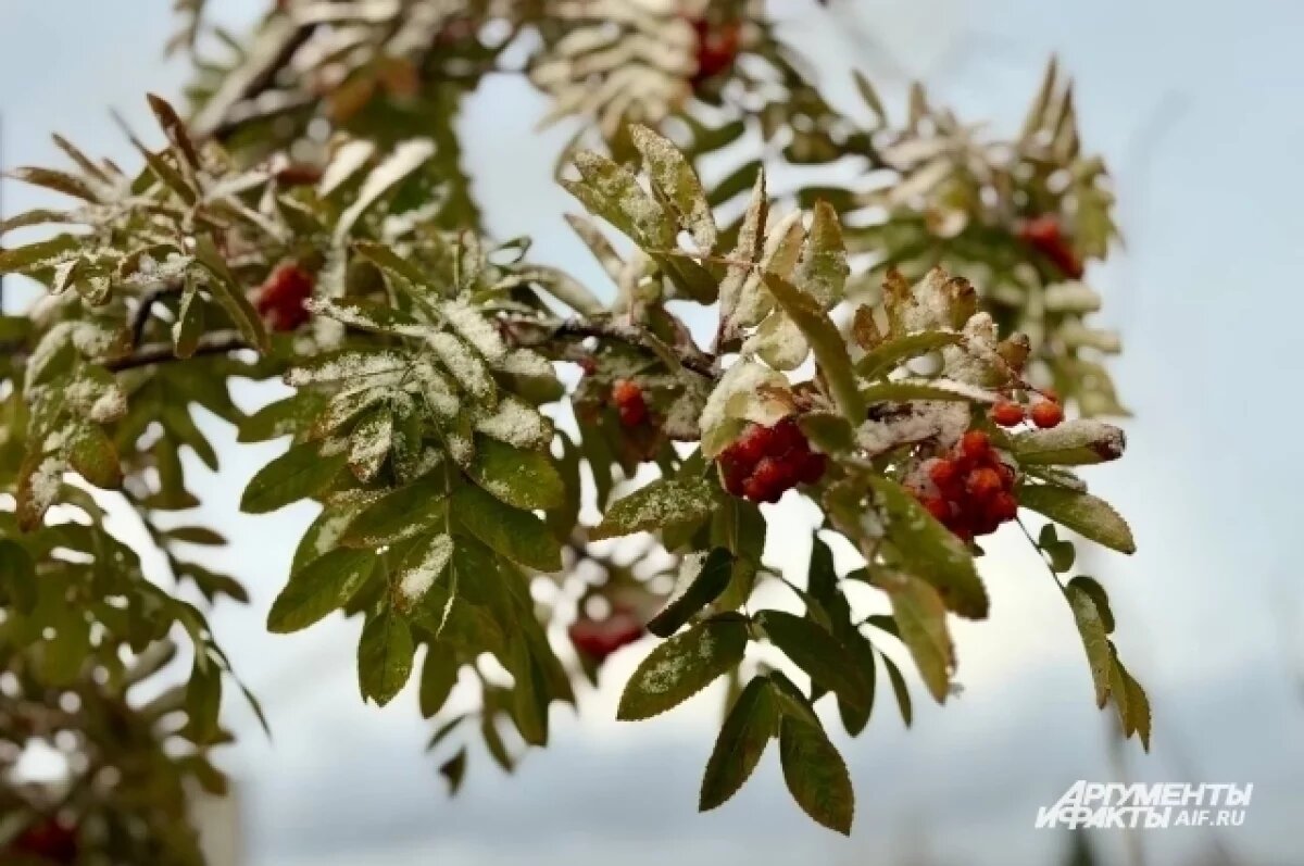    Автомобилистов из Кузбасса предупреждают о снеге, гололедице и ветре