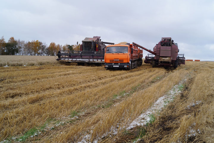 Фото: Минсельхозпрод Хакасии
