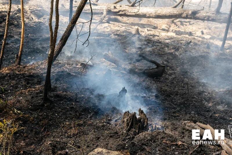    ЕАН. Дым от лесного пожара