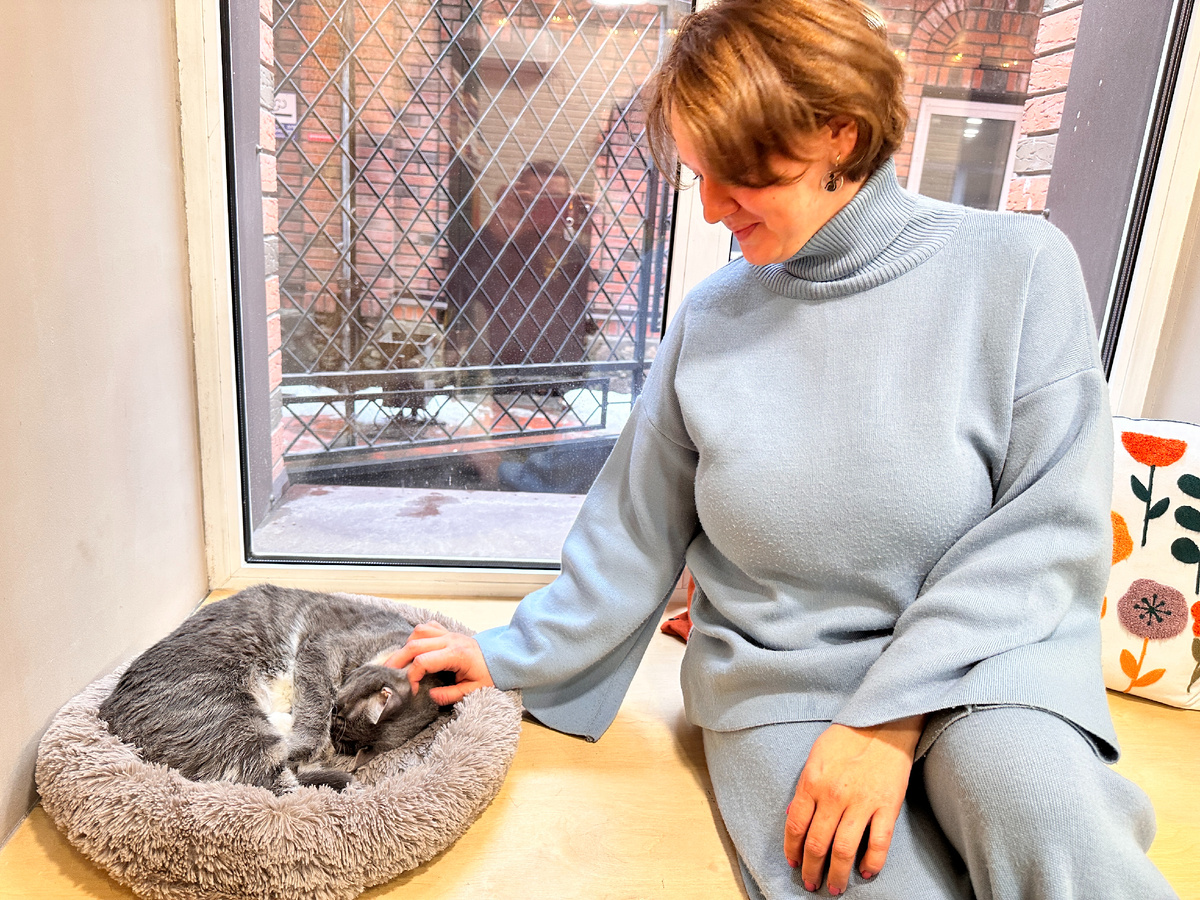 Кото-кафе для антистресс терапии