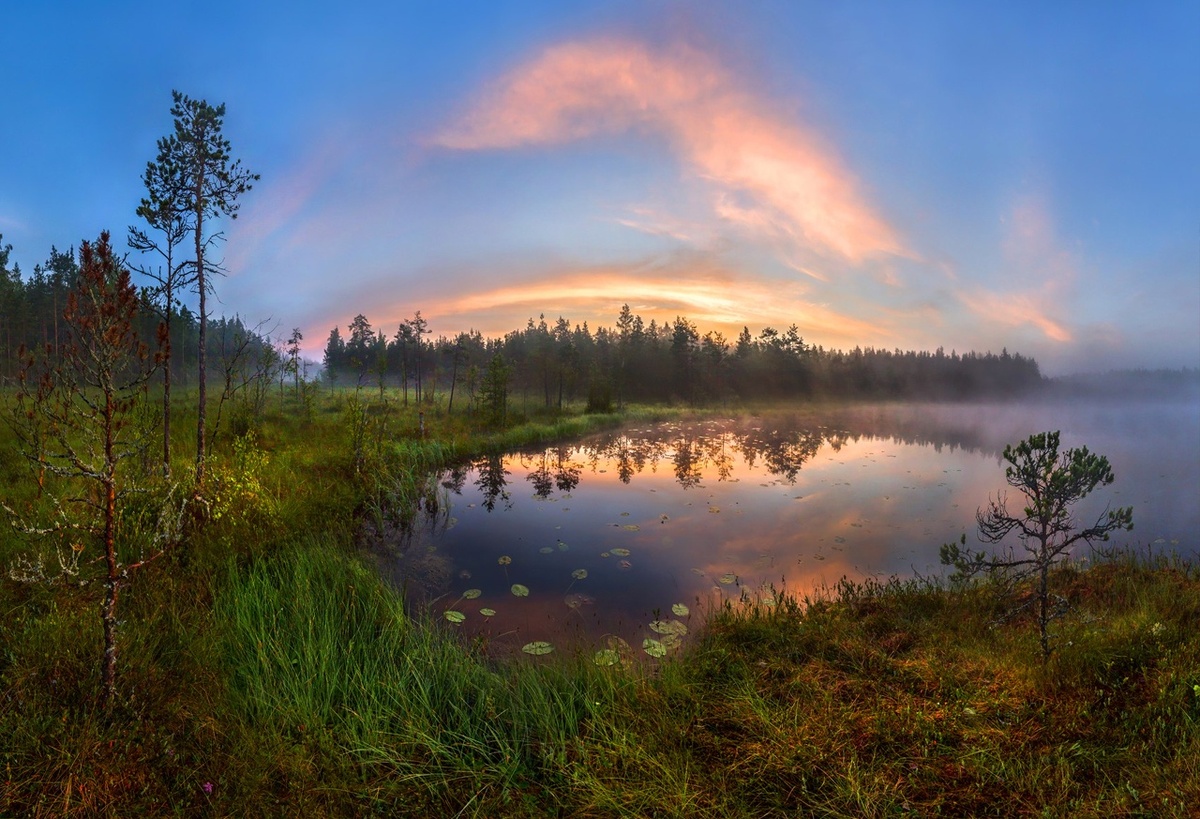 Источник изображения : id26186179