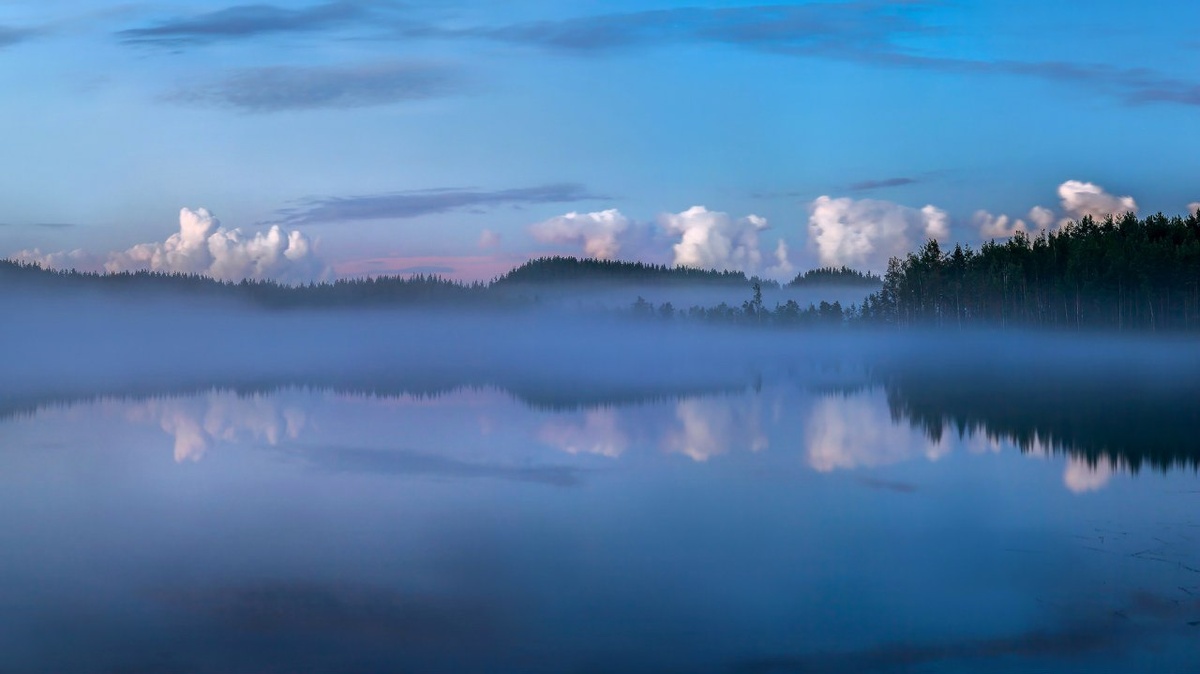 Источник изображения : id26186179