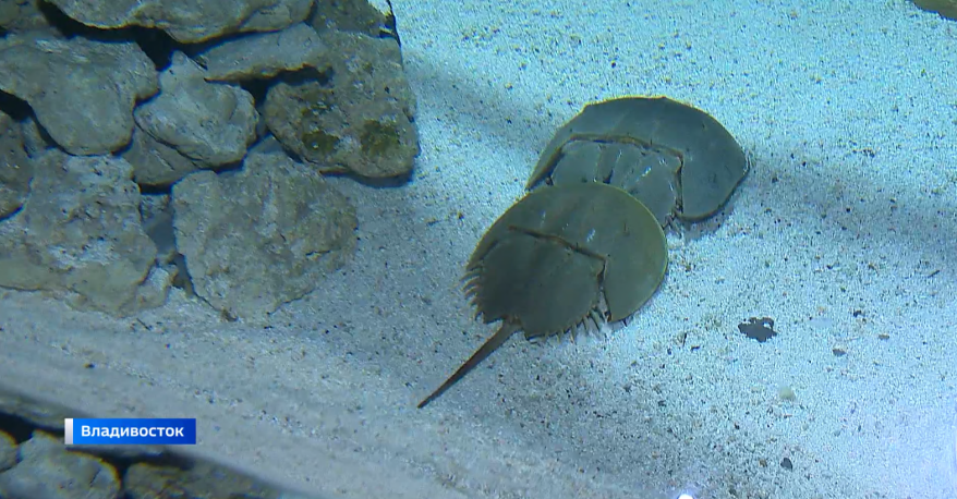    Источник фото: