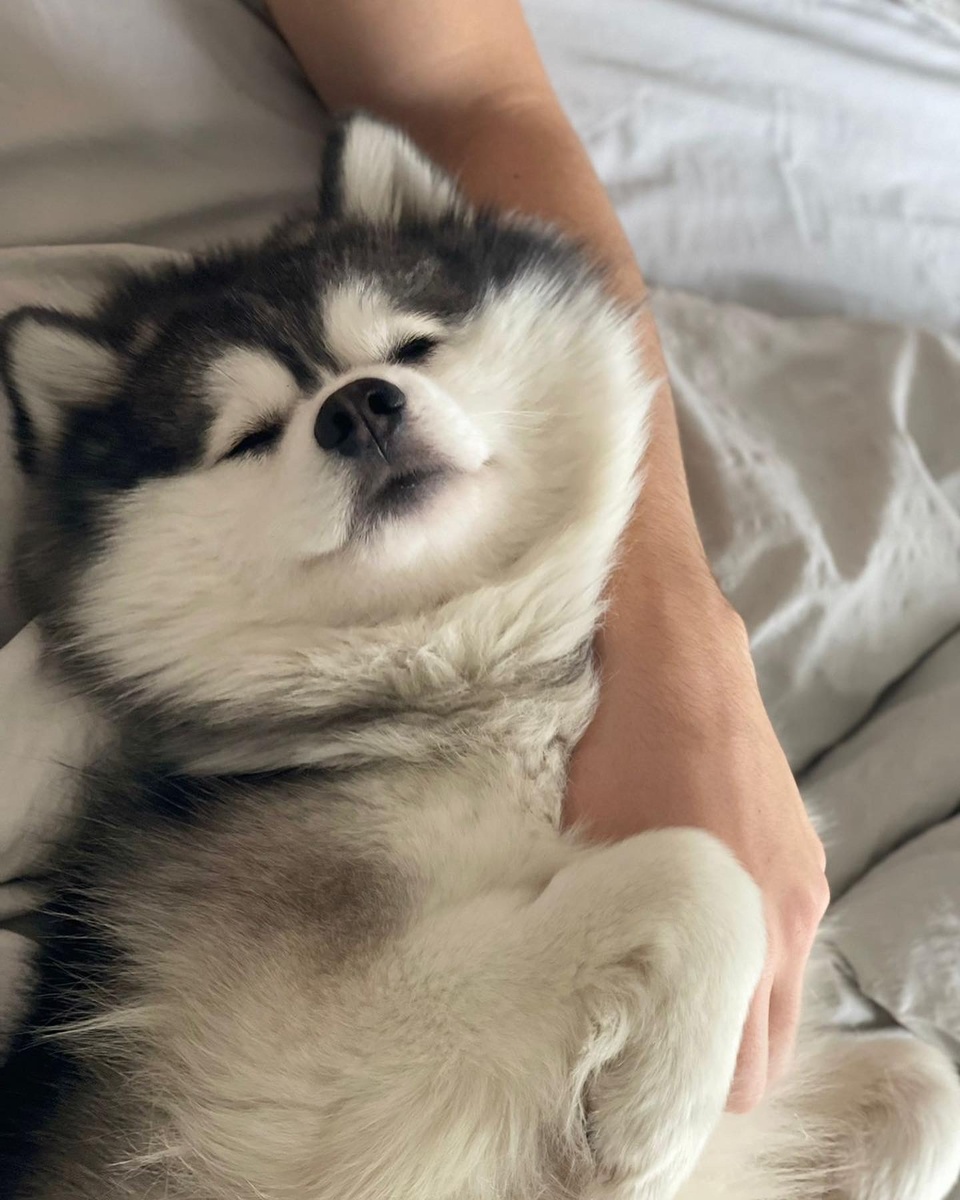 Отдых после съемок