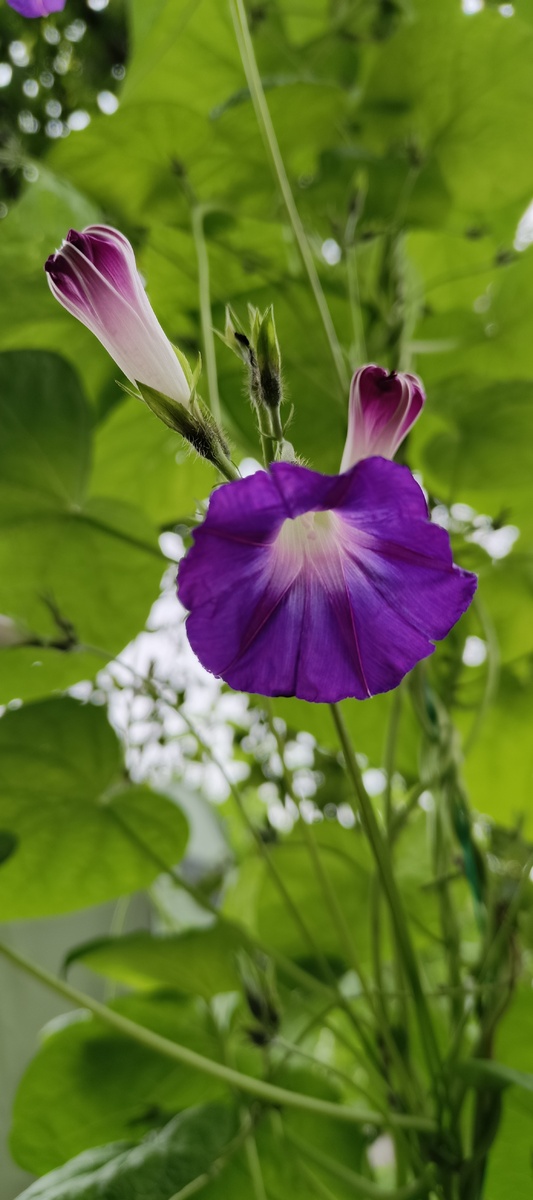 Очень она меня радовала весь сезон