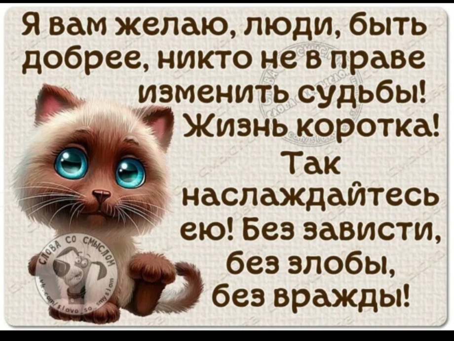 Поддерживаю!