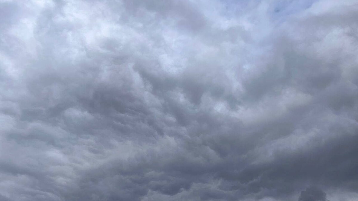    Фото: телеканал «Краснодар»