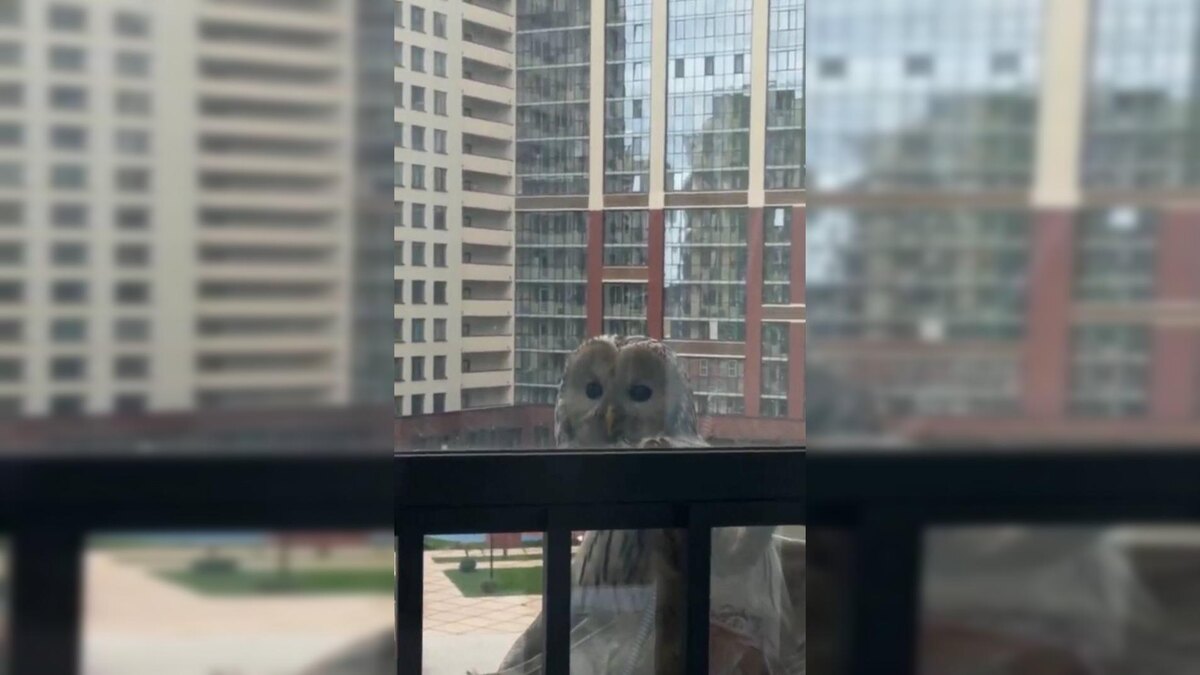    Фото: соцсети