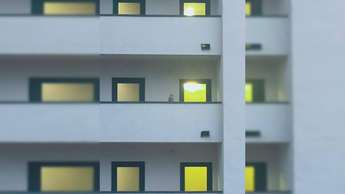    Фото: соцсети