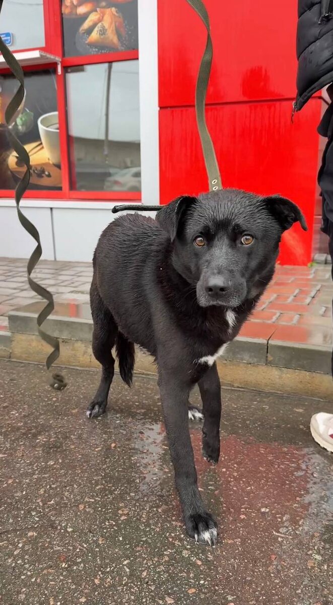 Испуганный… Фото из архива автора