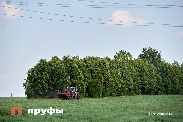    Фото: Пруфы.рф