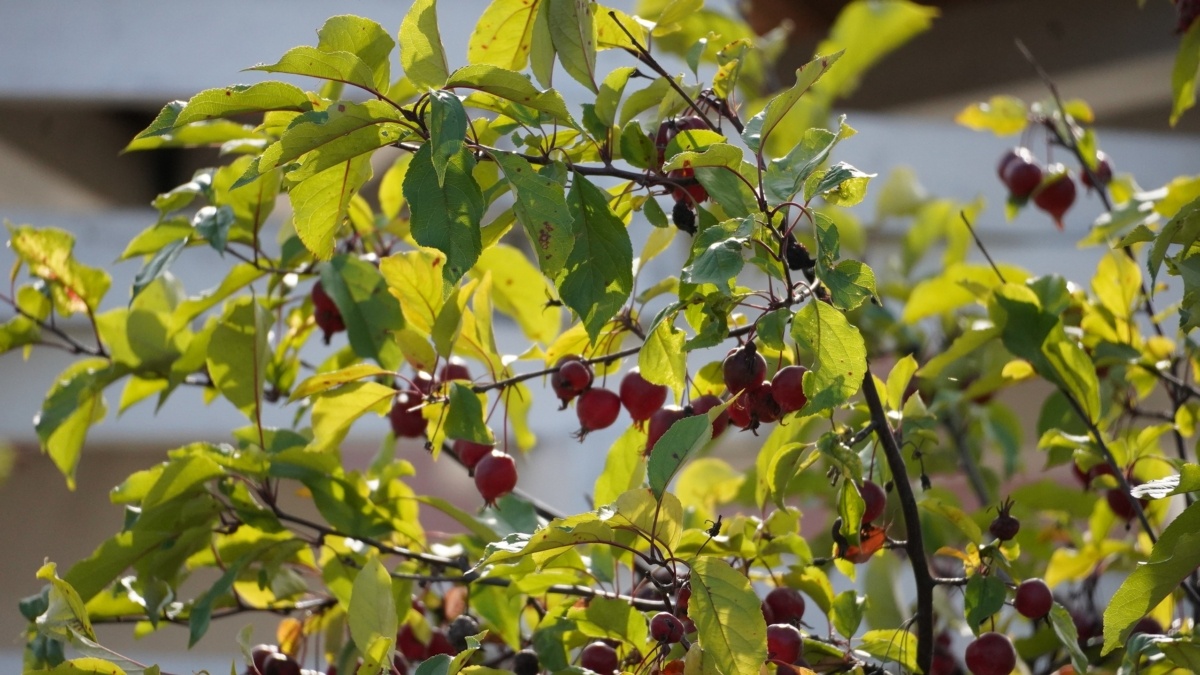 Светлана Мулыкина📷
