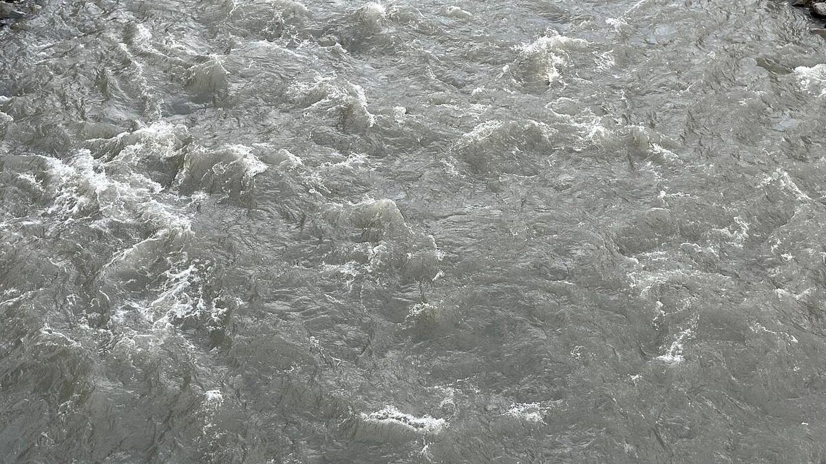    Фото: телеканал «Краснодар»