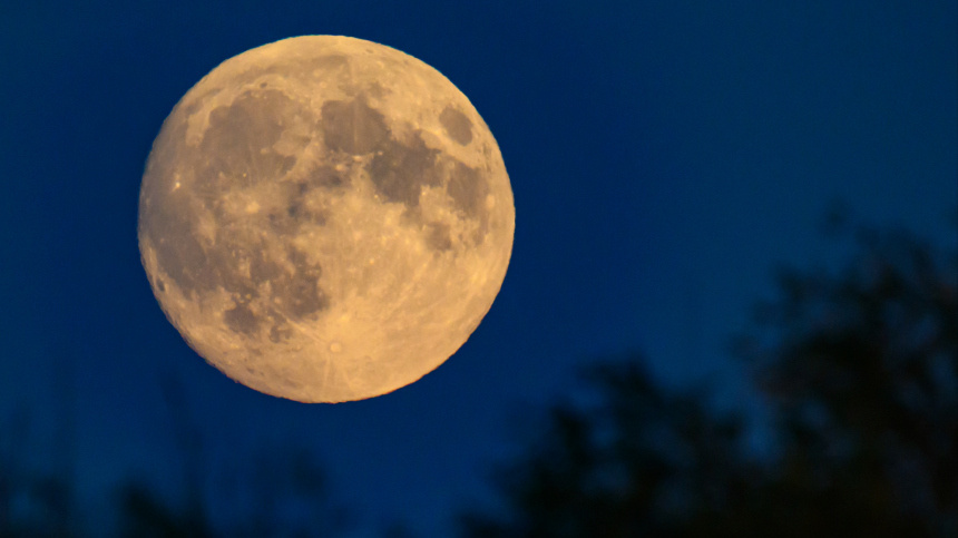    Patrick Pleul / AP / TASS