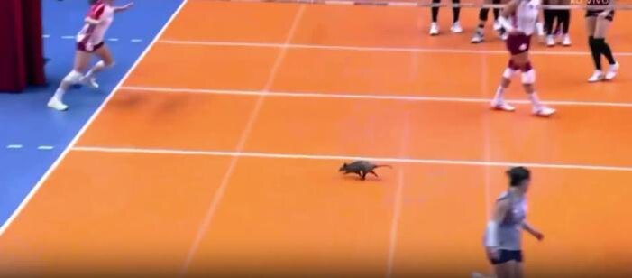 Обложка © X/Centralspor