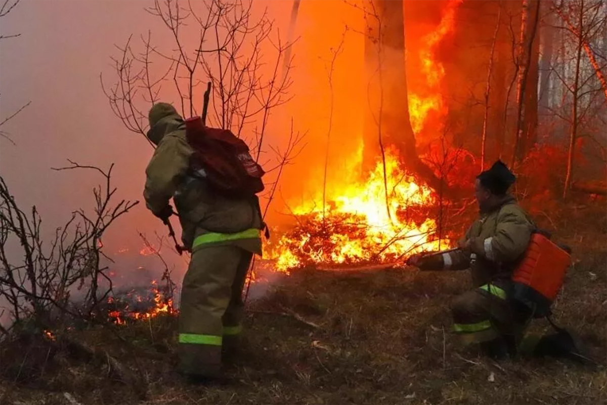    Фото: Пресс-служба МЧС по Курганской области