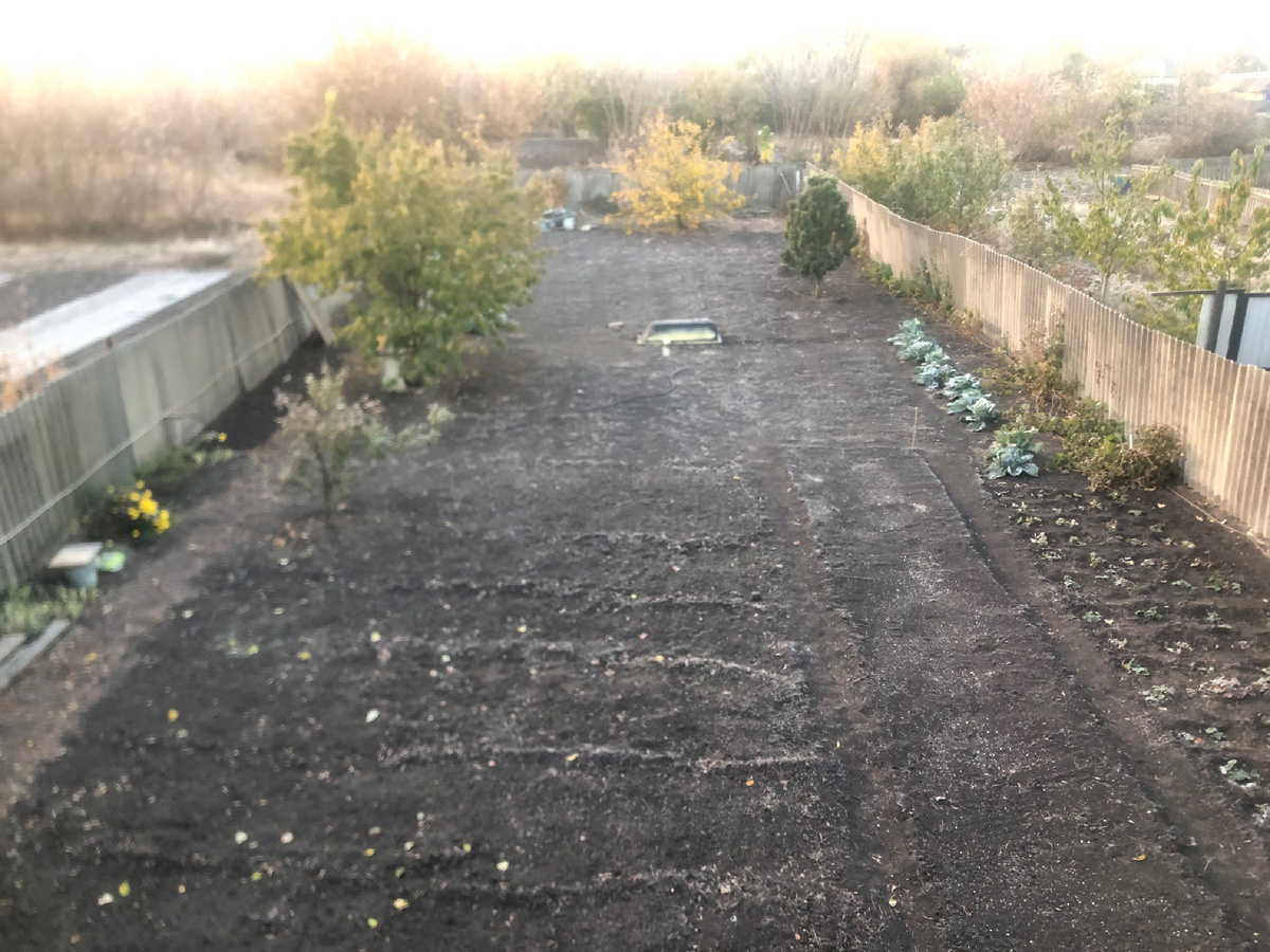 Вот так выглядел огород глубокой осенью. 