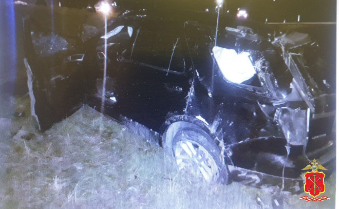    © Пресс-служба ГУ МВД России по Петербургу и Ленобласти