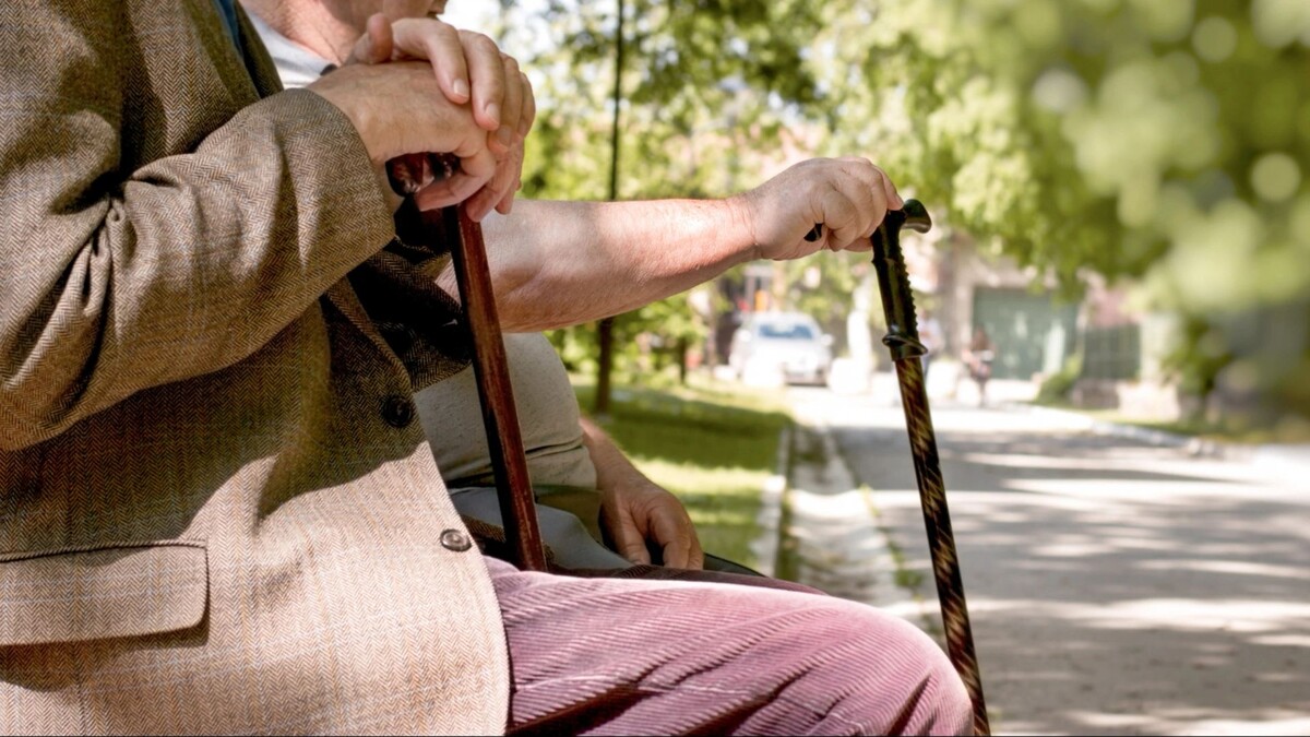    Фото: PhotoIris2021/Shutterstock/Fotodom