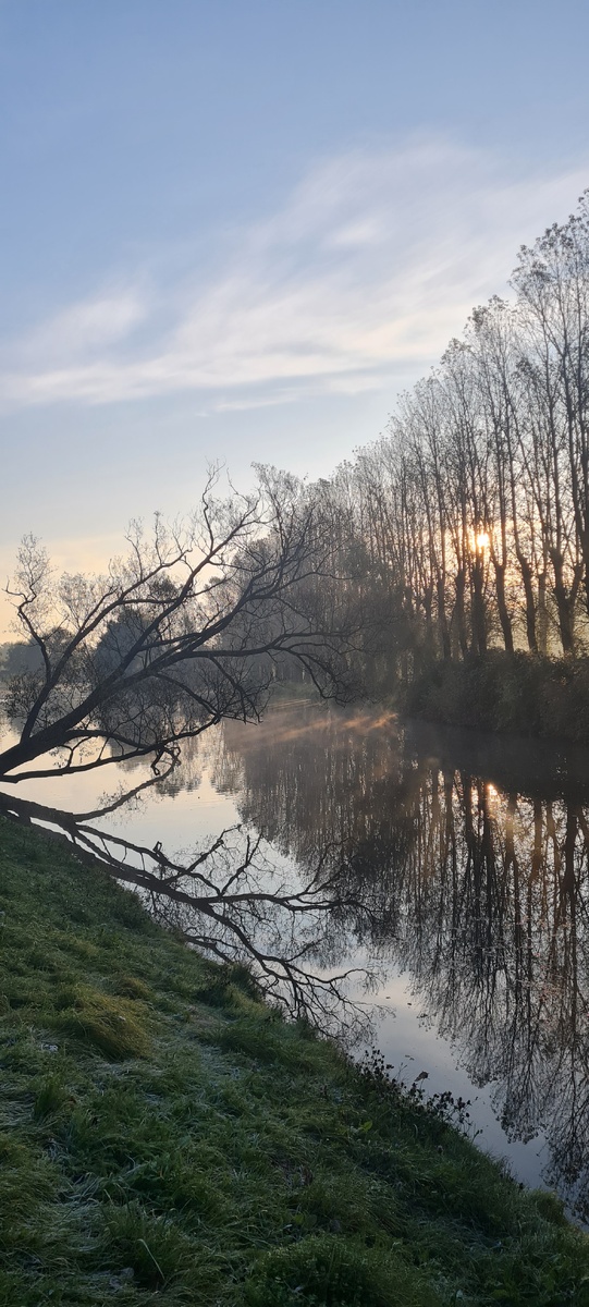 Фото моё 03.10.2025