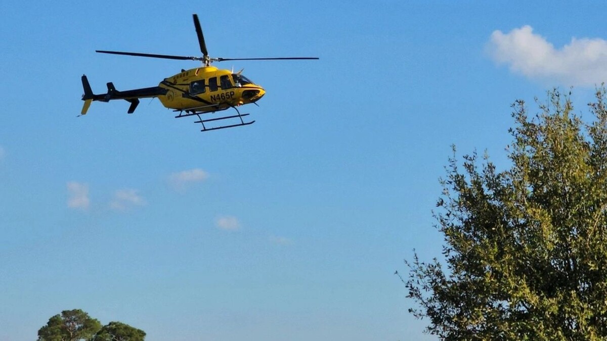    Фото: B.D.S. Media/Shutterstock/Fotodom