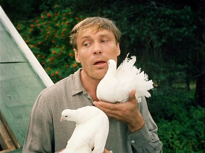    Фото: Кадр из к/ф «Любовь и голуби», источник: kino-teatr.ru