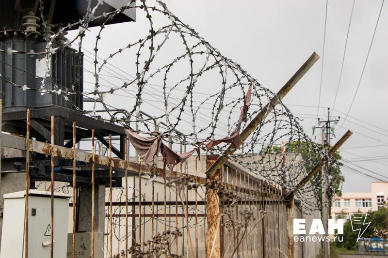    Колючая проволока в колонии