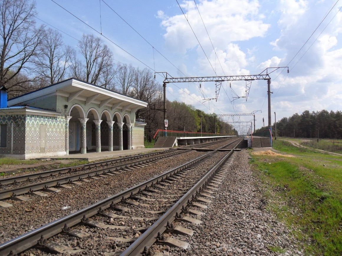 Синицыно. Эта площадка и дорога до дедушкиного дома снится мне до сих пор