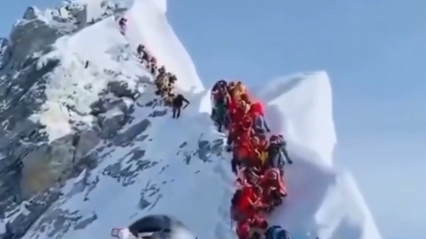 Фото: социальные сети