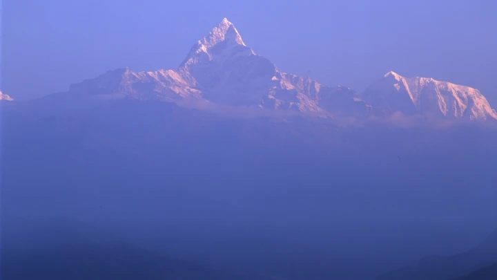 Фото: Serguei Fomine/globallookpress