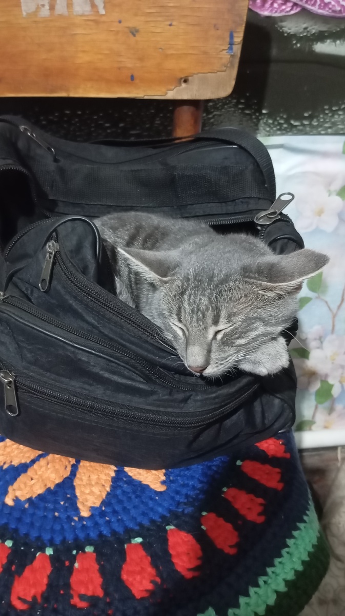 Надо же нашел место для сна😂