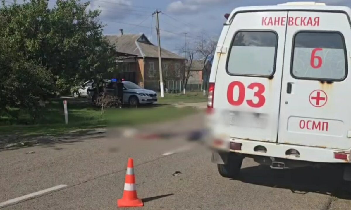    Фото t.me/mvd_23