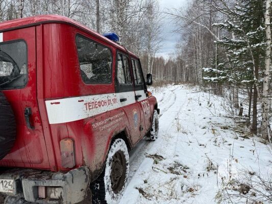    Фото: МЧС Красноярского края