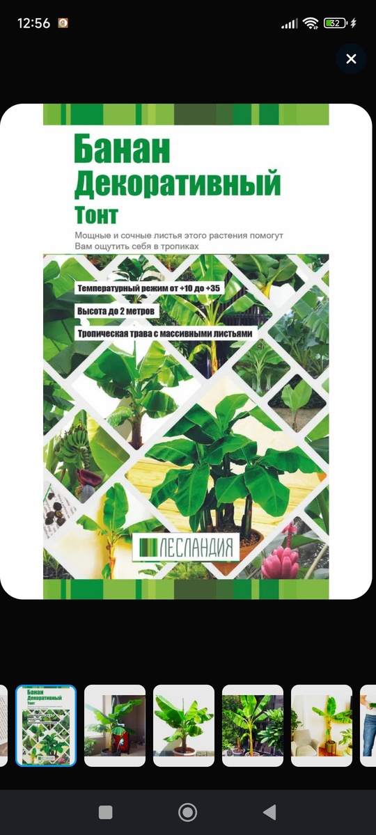 Семена банана