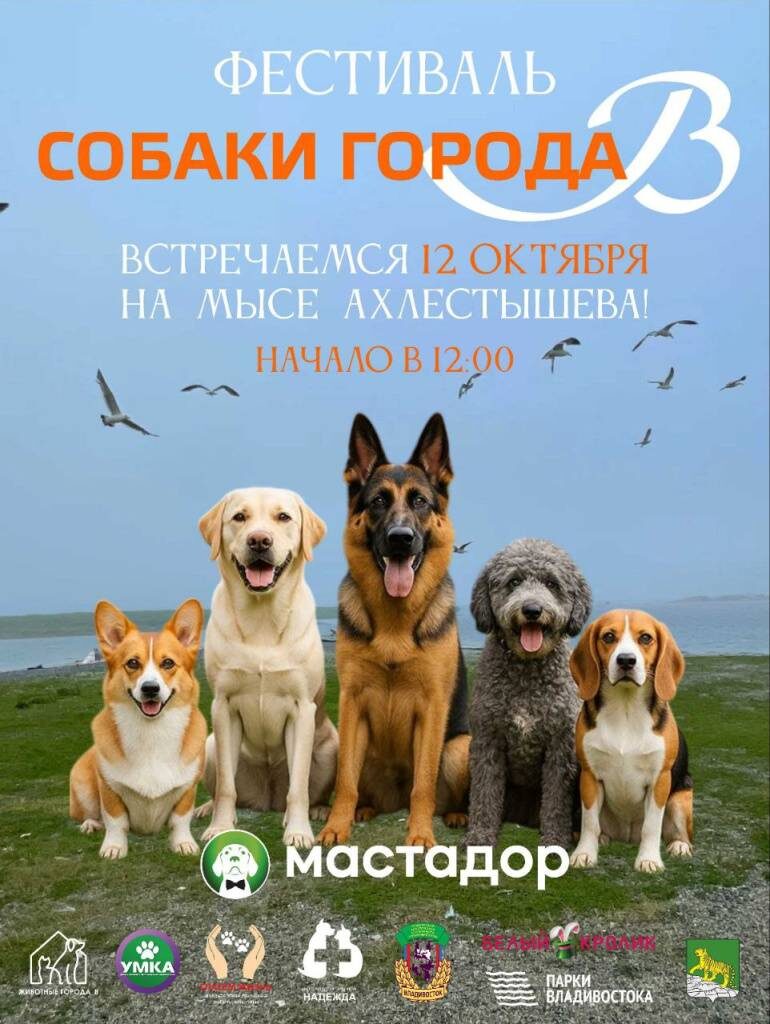    Источник фото: