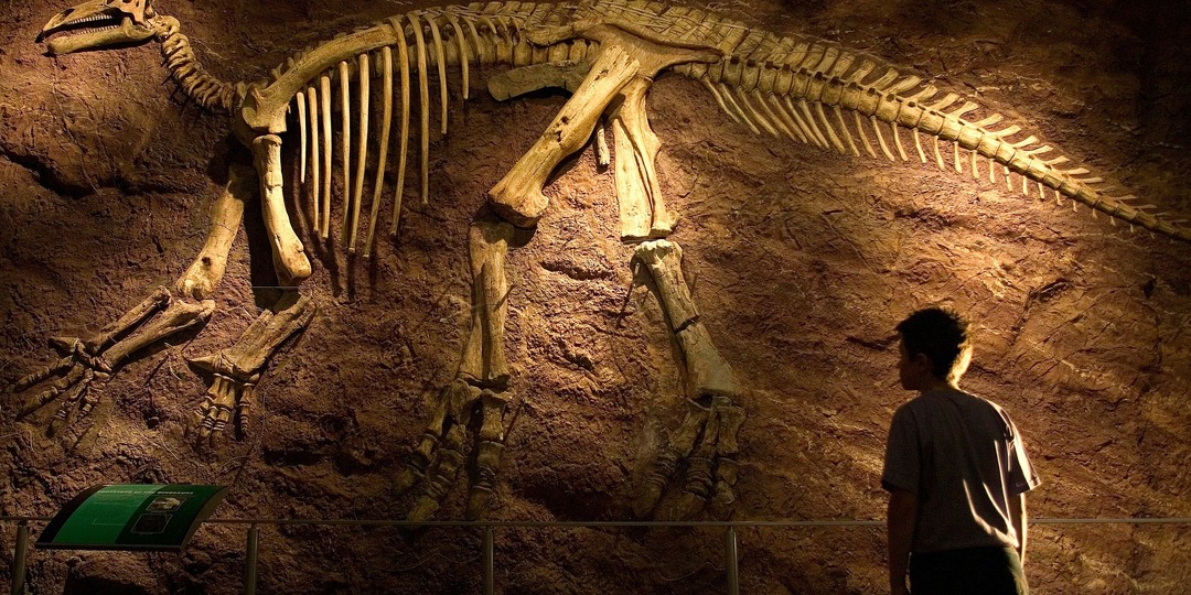 Обнаружена уцелевшая за миллионы лет органика в костях динозавров. Причем, это не единичные находки