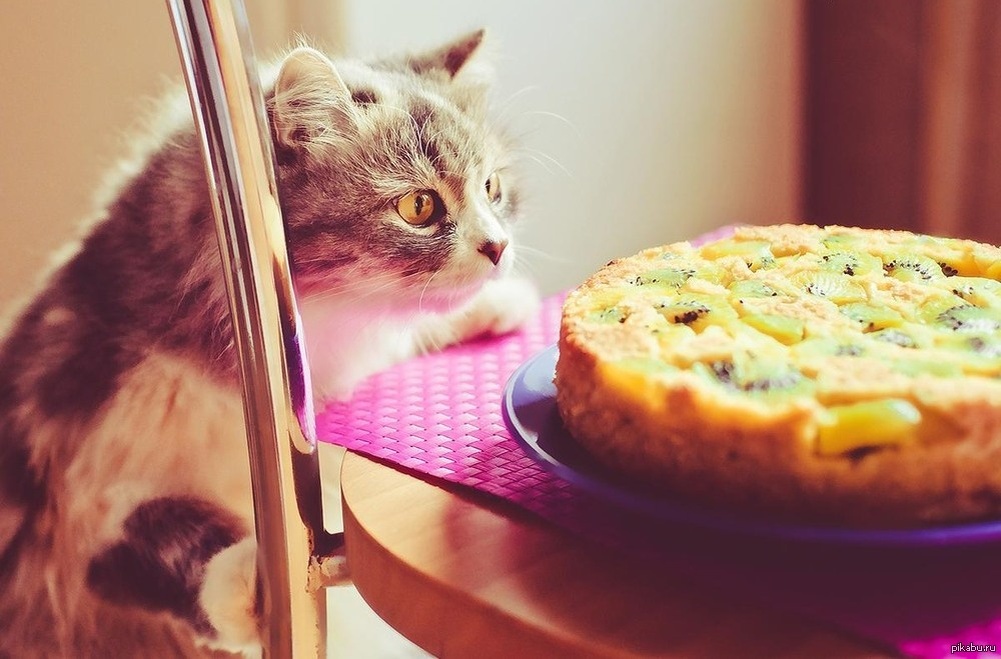 Трдельник желает вам приятного аппетита!