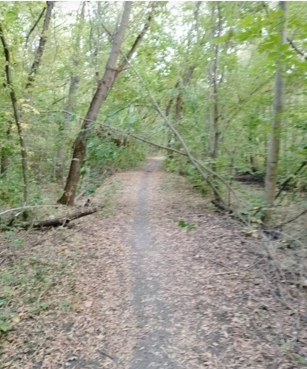 Мой типичный путь.