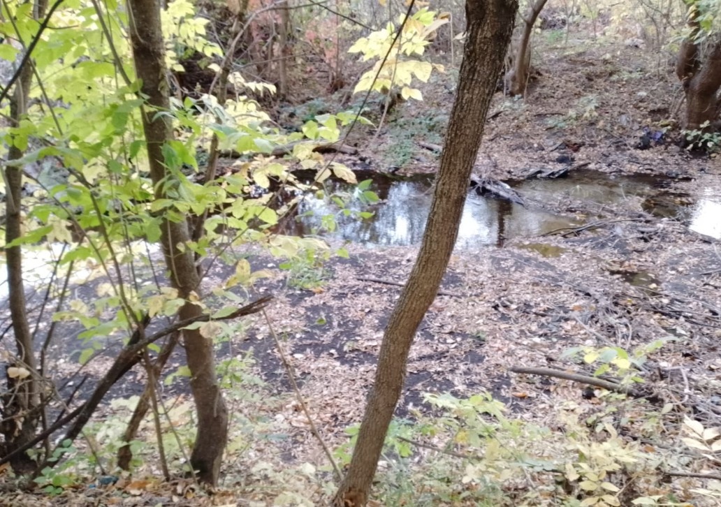 Та самая Каменка. За лето она сильно мелеет и почти прекращает своё течение.