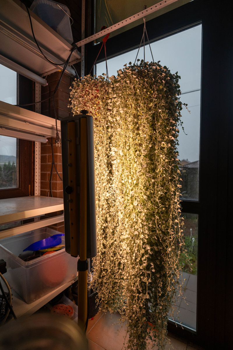 Мой кустарный вариант