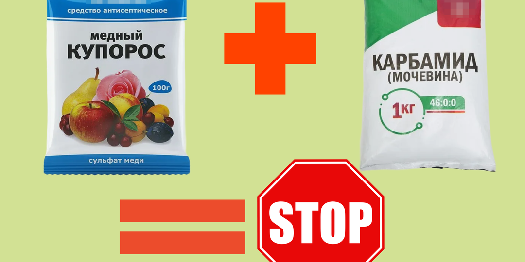 Мочевина и купорос: химия, совместимость и правильные схемы