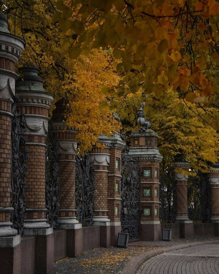 Санк-Петерьург - осень во всей красе