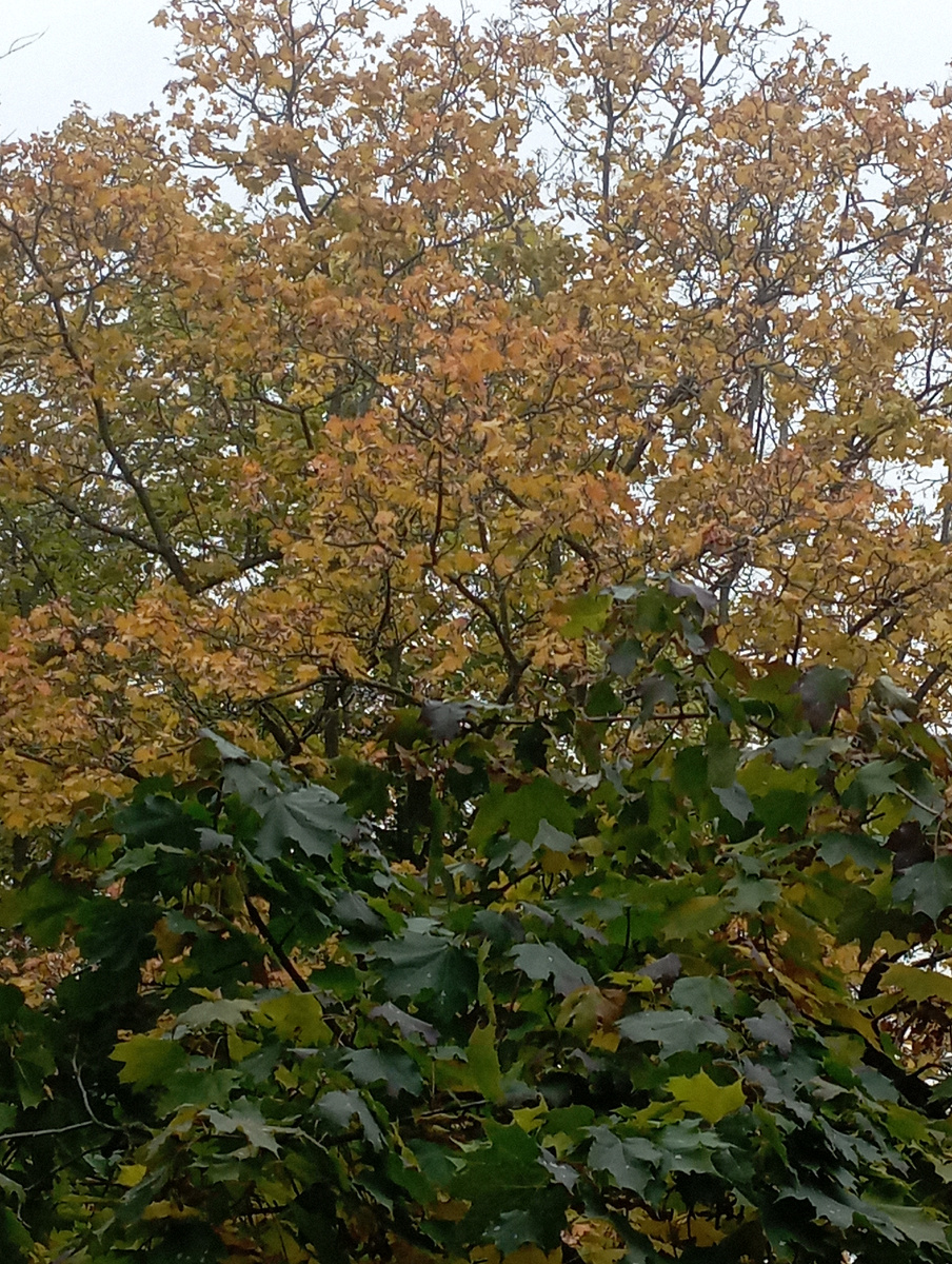 Фото учение с печеньем! 