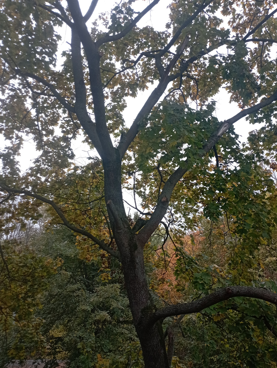 Фото учение с печеньем