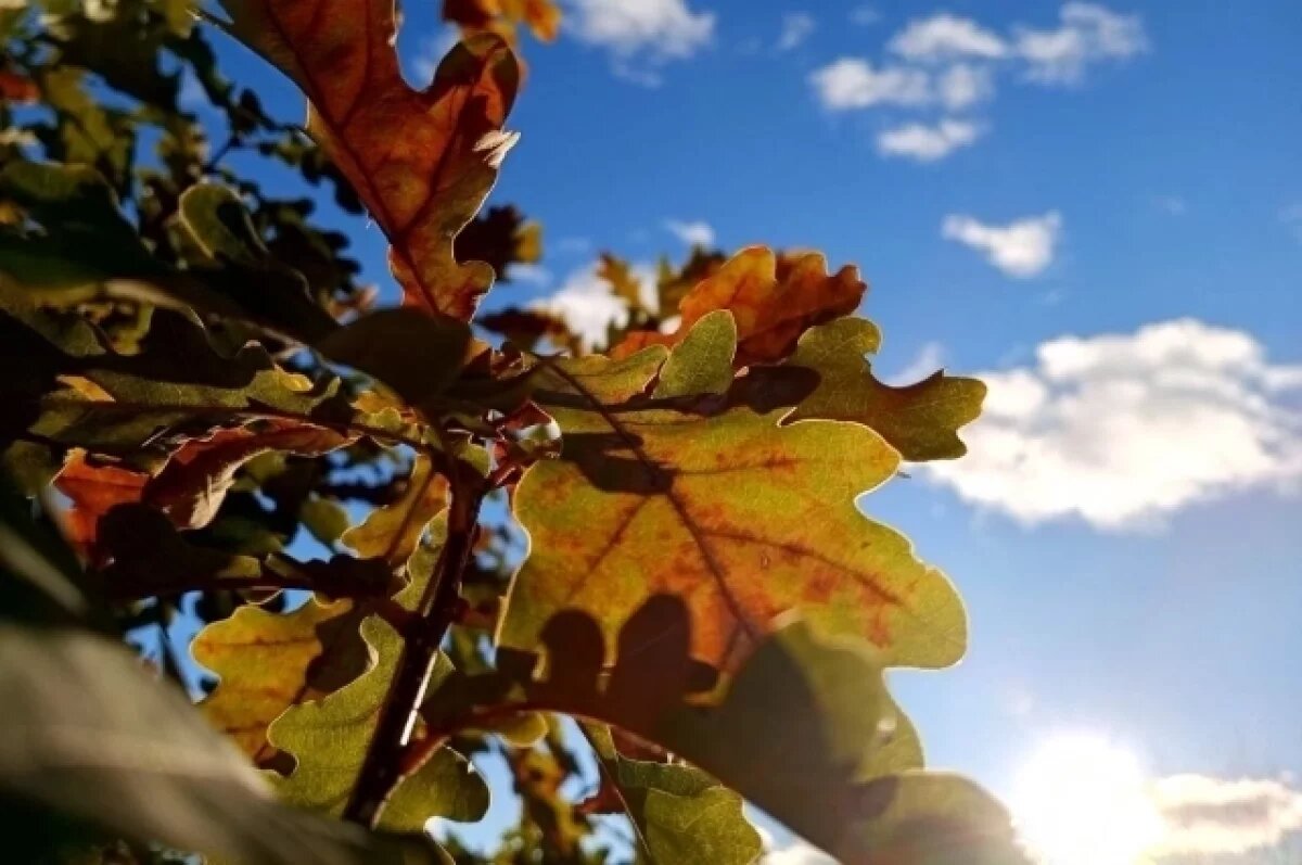    В Крыму 7 октября воздух прогреется до +22 градусов