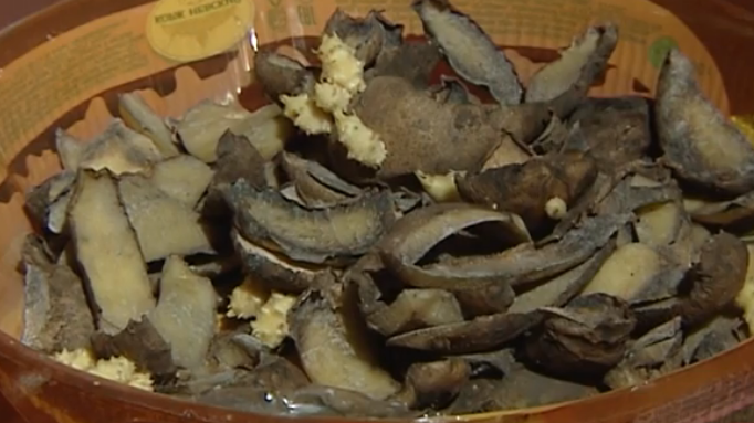 Кухонные отходы могут стать лучшим удобрением для огорода